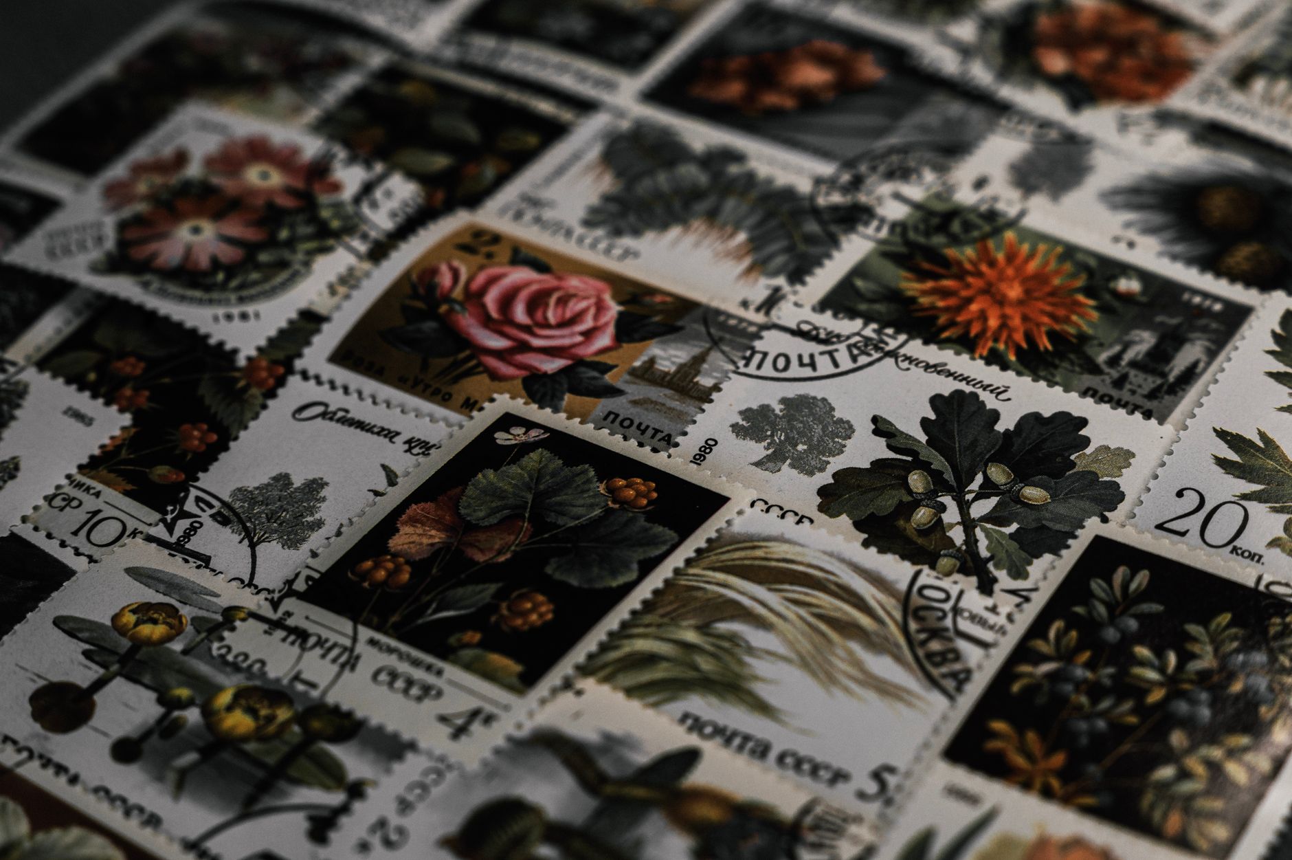 A close-up view of vintage postage stamps featuring botanical illustrations with a dark, moody tone.