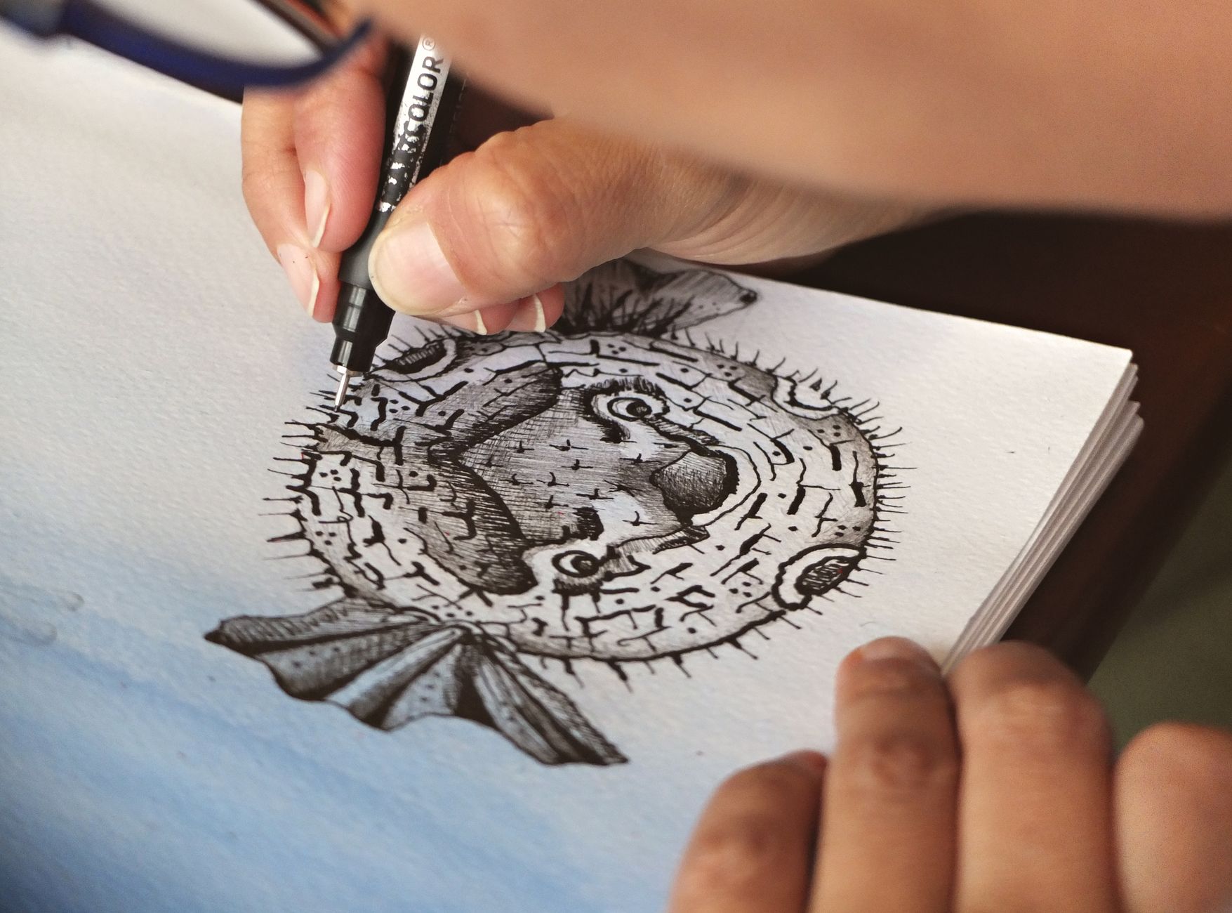 Close-up of a hand drawing a detailed pufferfish illustration with pen on paper.