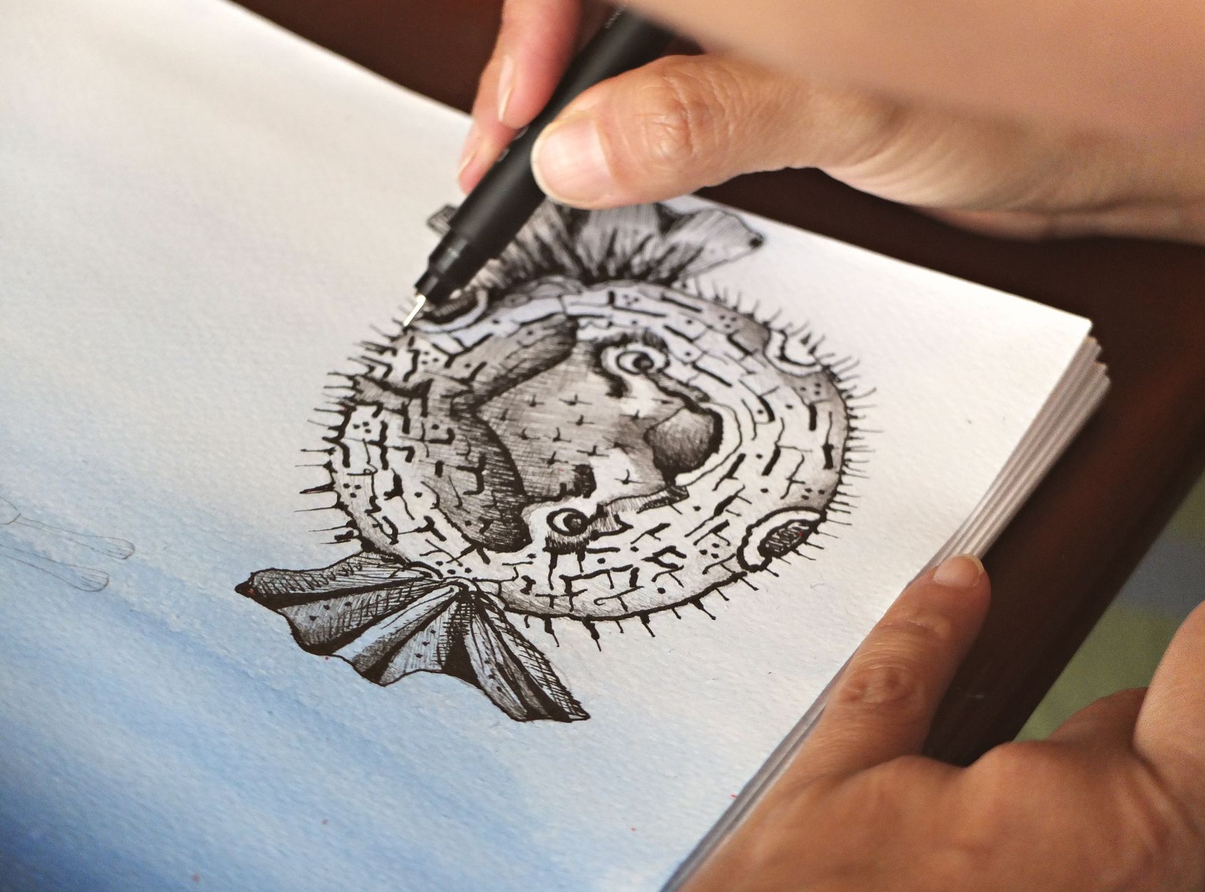 Close-up of a hand drawing a detailed pufferfish illustration in black ink on paper.